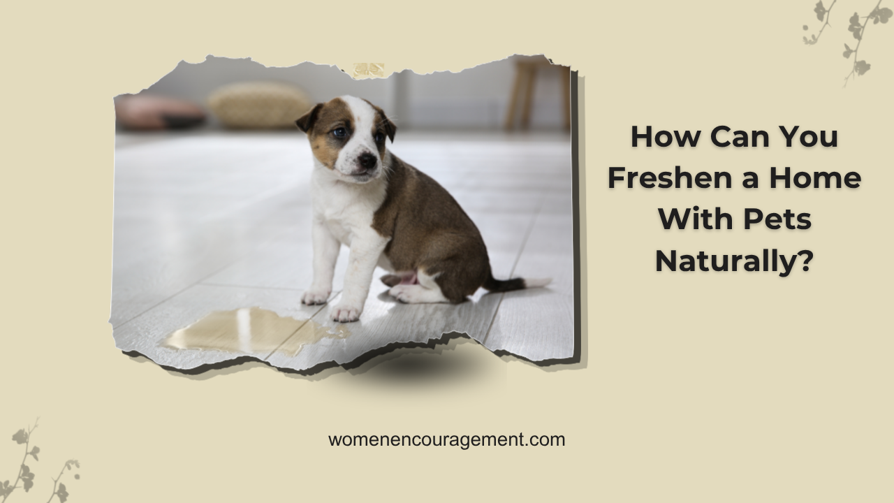 Freshen Home