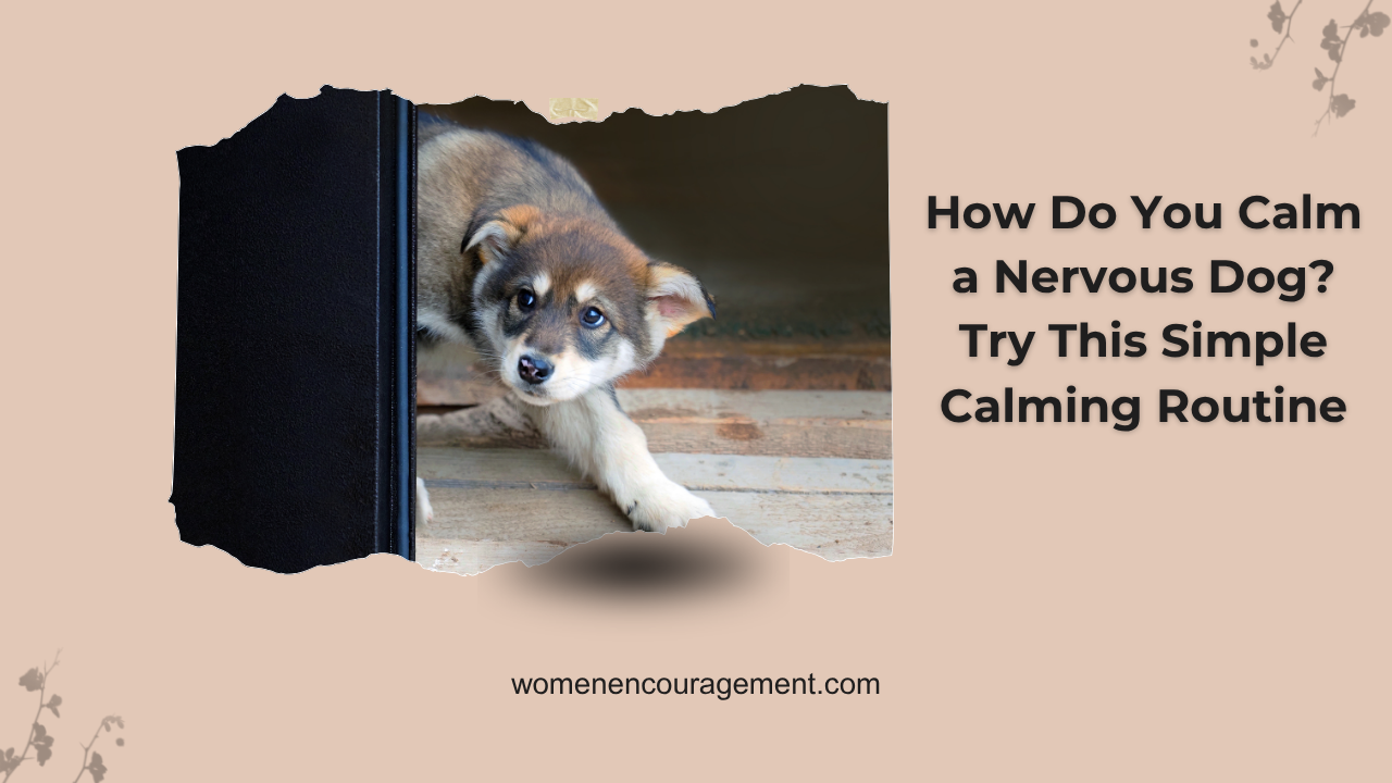 Nervous Dog
